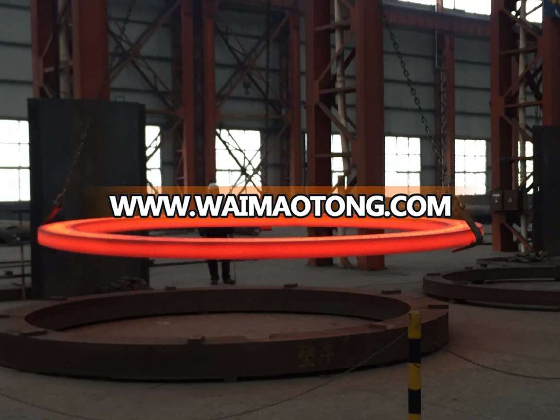 Customerize Different Sizes Forging Flanges